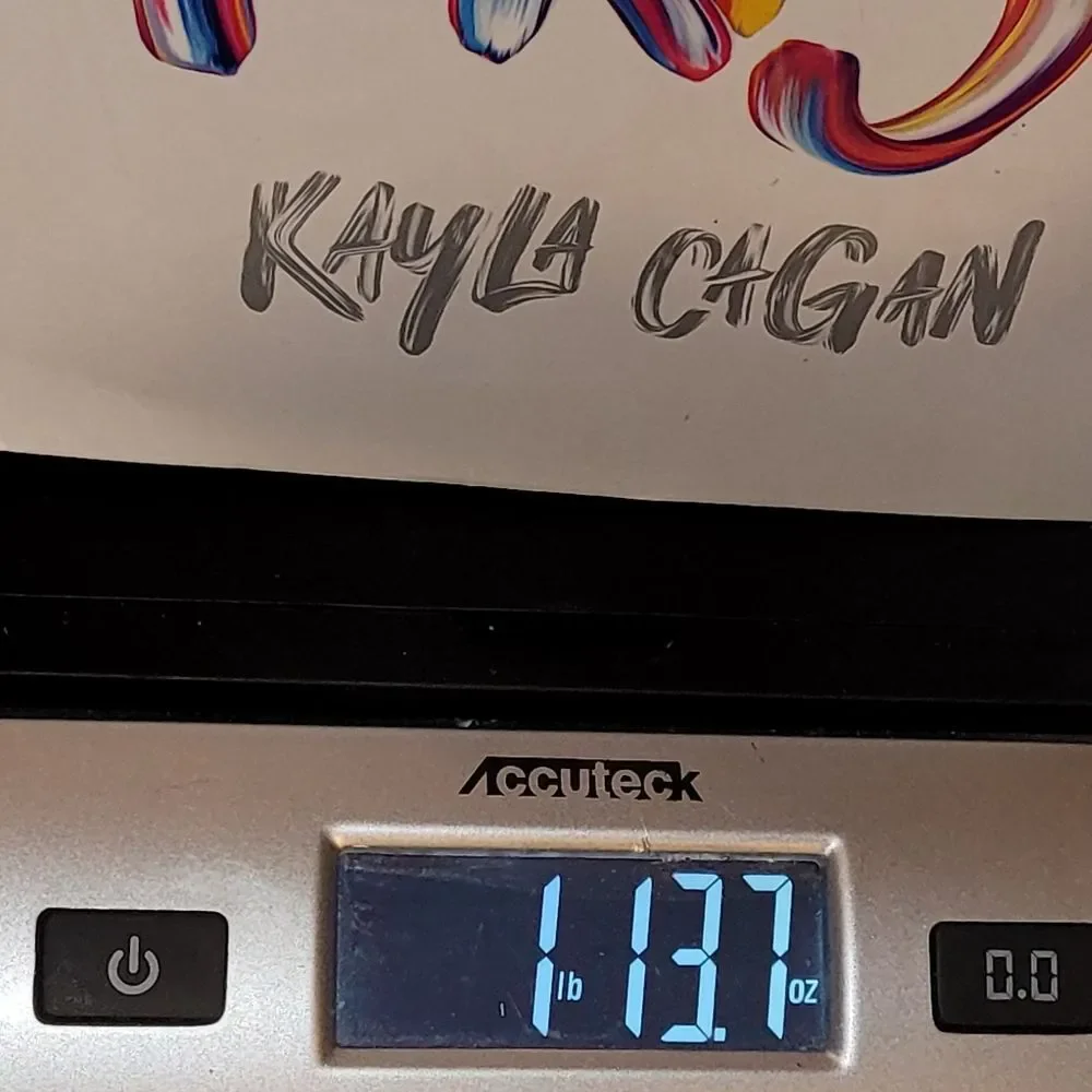 Piper Perish By Kayla Cagan Hardcover Book